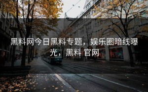 黑料网今日黑料专题，娱乐圈暗线曝光，黑料 官网