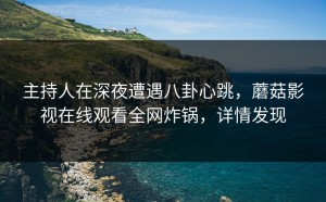 主持人在深夜遭遇八卦心跳，蘑菇影视在线观看全网炸锅，详情发现