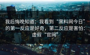 我后悔晚知道：我看到“黑料网今日”的第一反应是好奇，第二反应是害怕：虚假“官网”