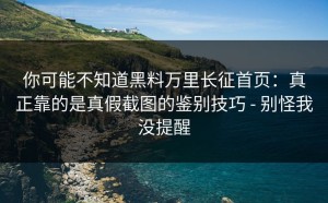 你可能不知道黑料万里长征首页：真正靠的是真假截图的鉴别技巧 - 别怪我没提醒
