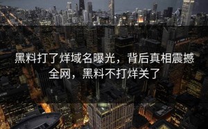 黑料打了烊域名曝光，背后真相震撼全网，黑料不打烊关了