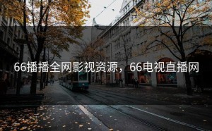 66播播全网影视资源，66电视直播网