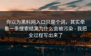 你以为黑料网入口只是个词，其实牵着一条搜索结果为什么会被污染 - 我把全过程写出来了