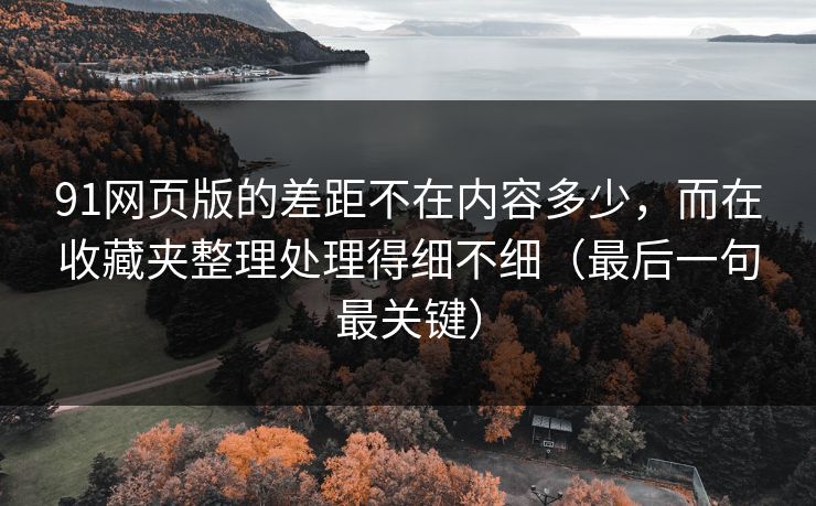 91网页版的差距不在内容多少，而在收藏夹整理处理得细不细（最后一句最关键）